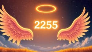 255 angel number