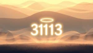 3113 angel number