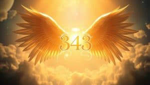 343 angel number