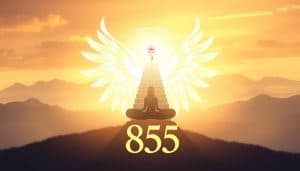 855 angel number