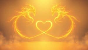 323 angel number twin flame reunion