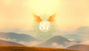 87 angel number love