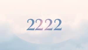 is 222 a twin flame number